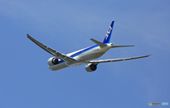 ANA 777-381 JA783A 飛び立ち　