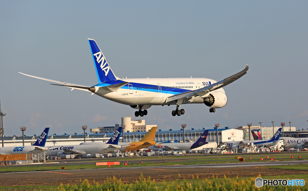 着陸  ANA 787-8 JA827A