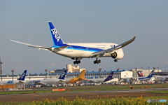 着陸  ANA 787-8 JA827A