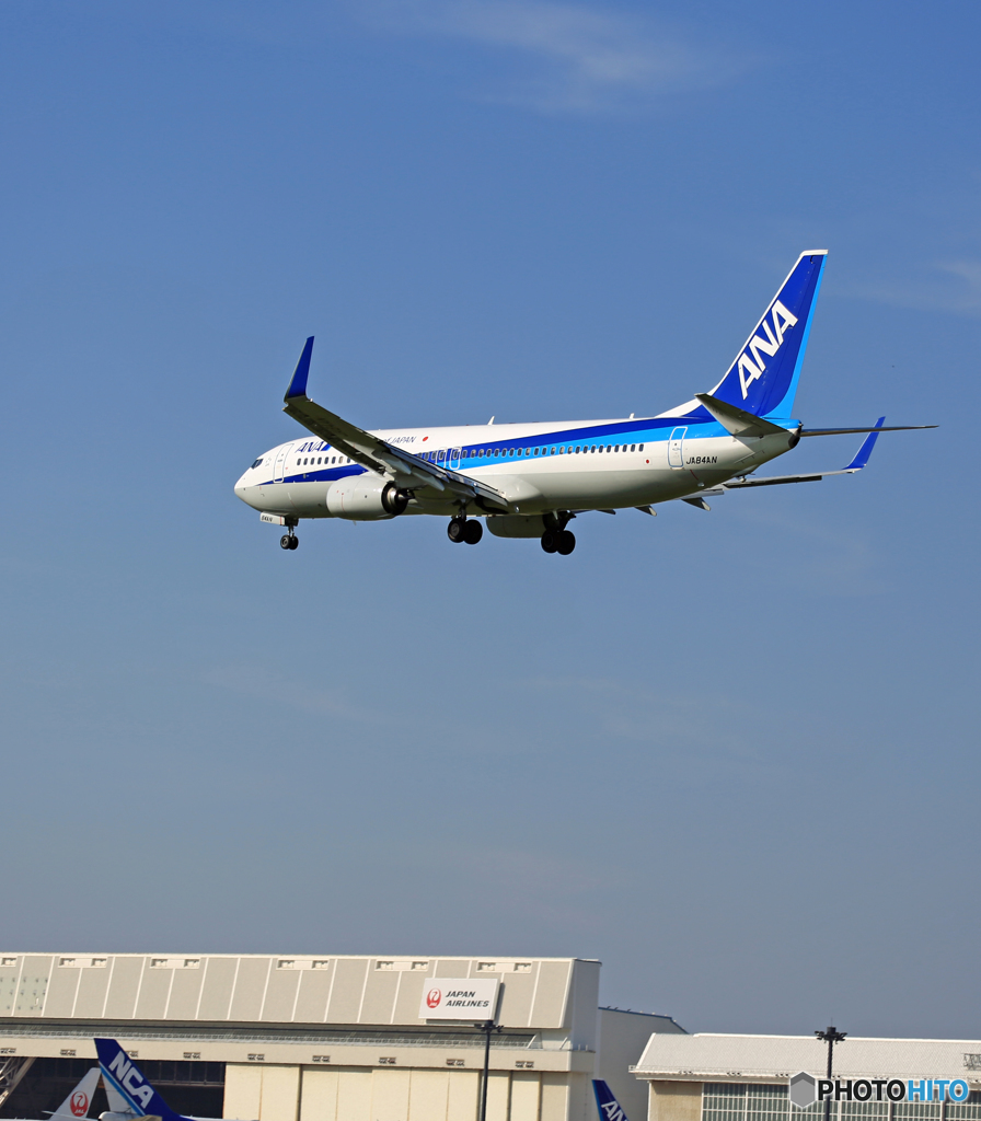 ANA 737-881 JA84AN 着地前 