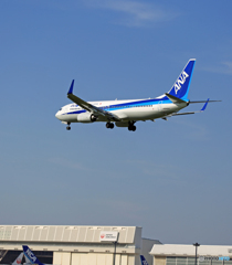 ANA 737-881 JA84AN 着地前 