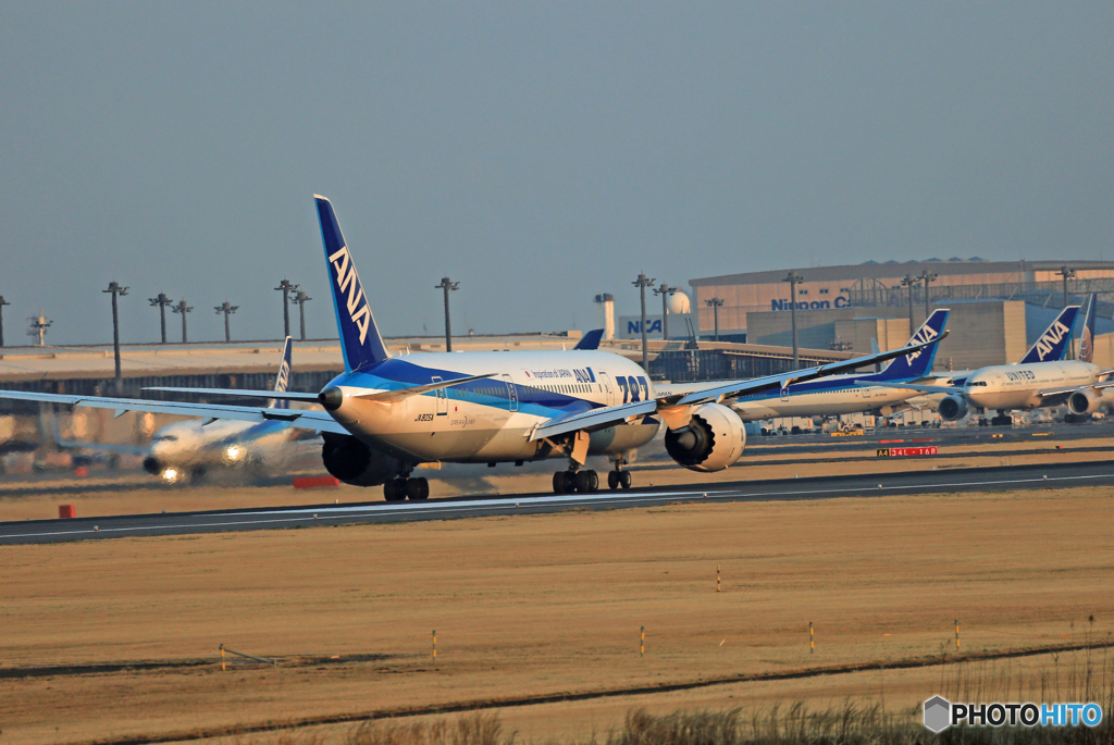 「青空」 ANA 787-8 JA805A 離陸