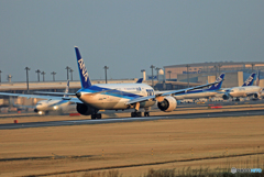 「青空」 ANA 787-8 JA805A 離陸