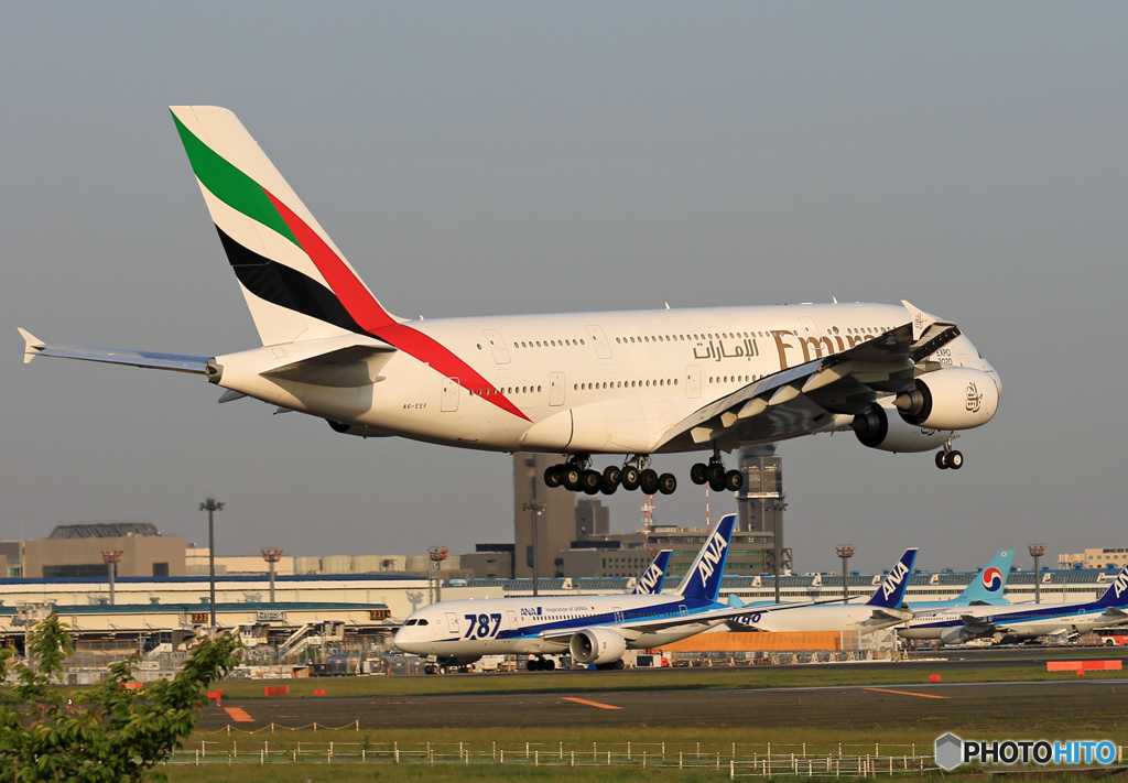 ☀ エミレーツ航空A380-861 A6-EEF Landing