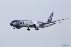 ✈ANA [R2-D2 Jet] STAR WARS B787-9 JA873A