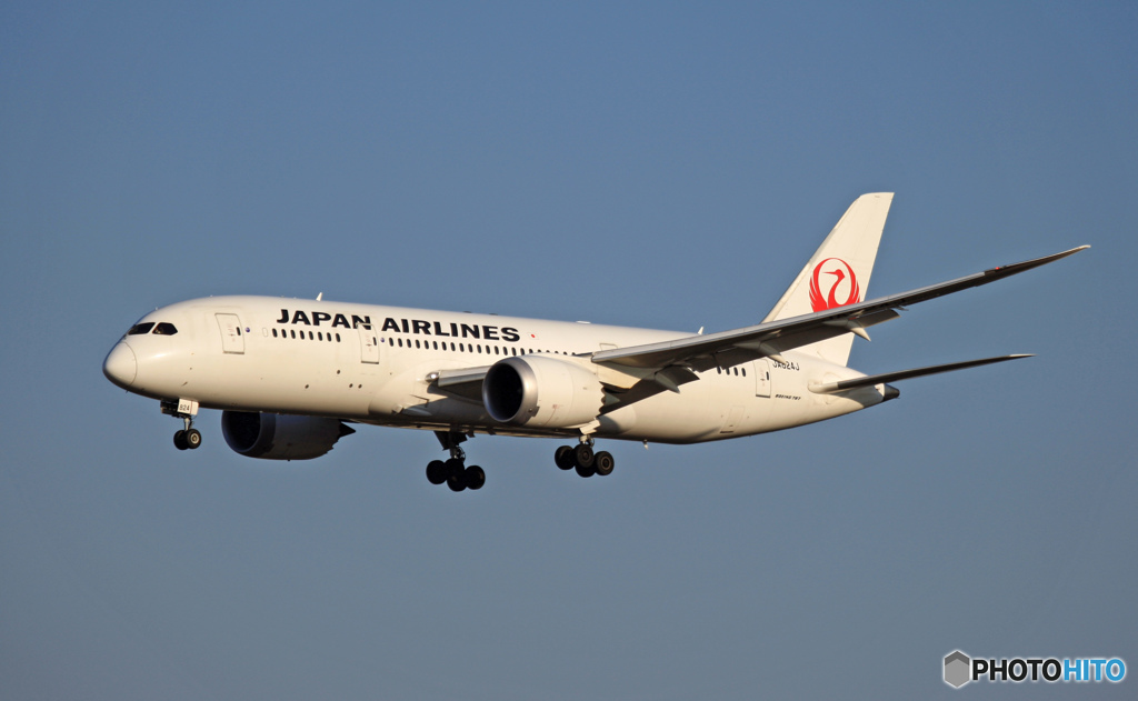 JAL 787-8 JA824J 到着 
