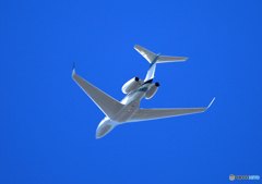 「青空」☮Private:Cessna 182Q N2511D☮