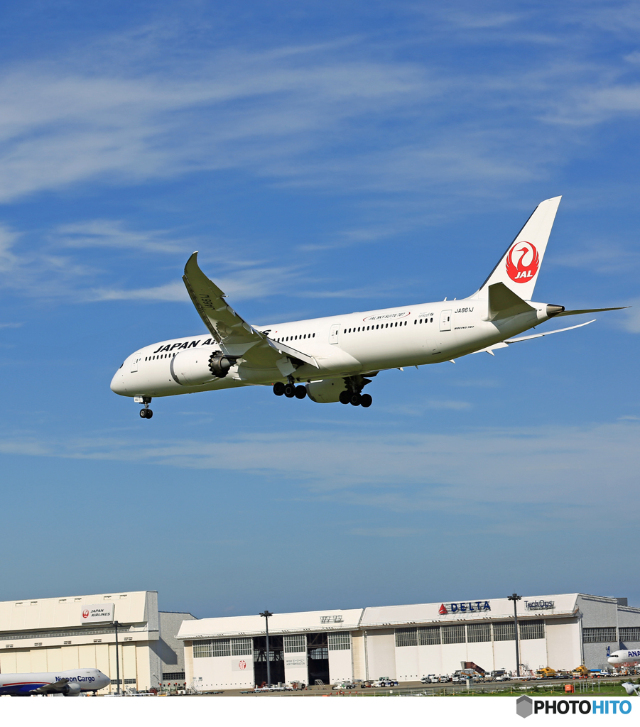 「青い空」 JAL 787-9 JA861J