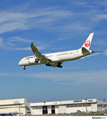 「青い空」 JAL 787-9 JA861J