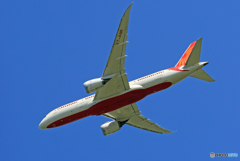 「青い空」が一番 Air India 787-8 VT-ANR