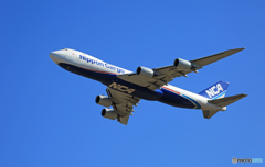 「ぶるー」NCA 747-8KZF JA12KZジャンボ保存委員会  