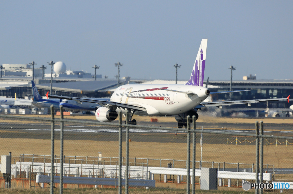 「SKY」 おいしい香川 HkExpress B-LCB