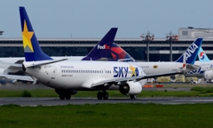 出発(177)SKY 737-800 ♥ 出発(177)SKY 737-800 ♥