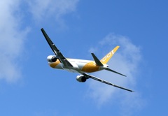 Scoot 777-212ER  Scoot 777-212ER