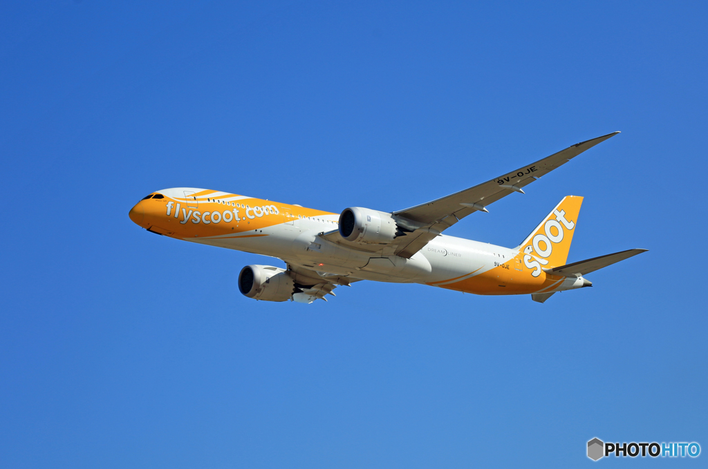 「青い空」 scoot 787-9 9V-OJE 飛行