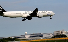 着陸（37）ANA 777-300ER 