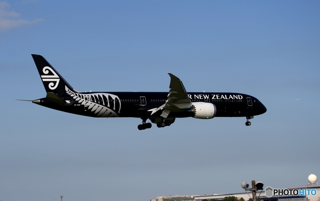 Air New Zealand 「All Blacks」787-9 ZK-NZE