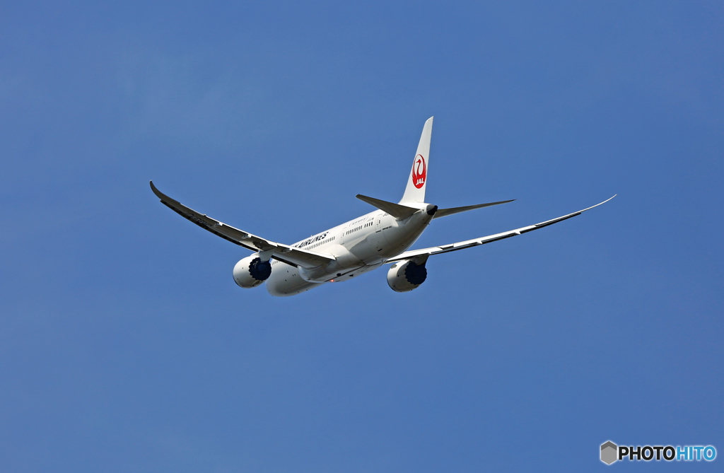 JAL 787-8 JA837J 離陸 