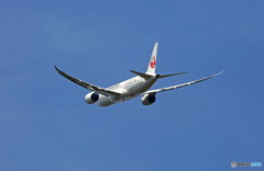 JAL 787-8 JA837J 離陸 