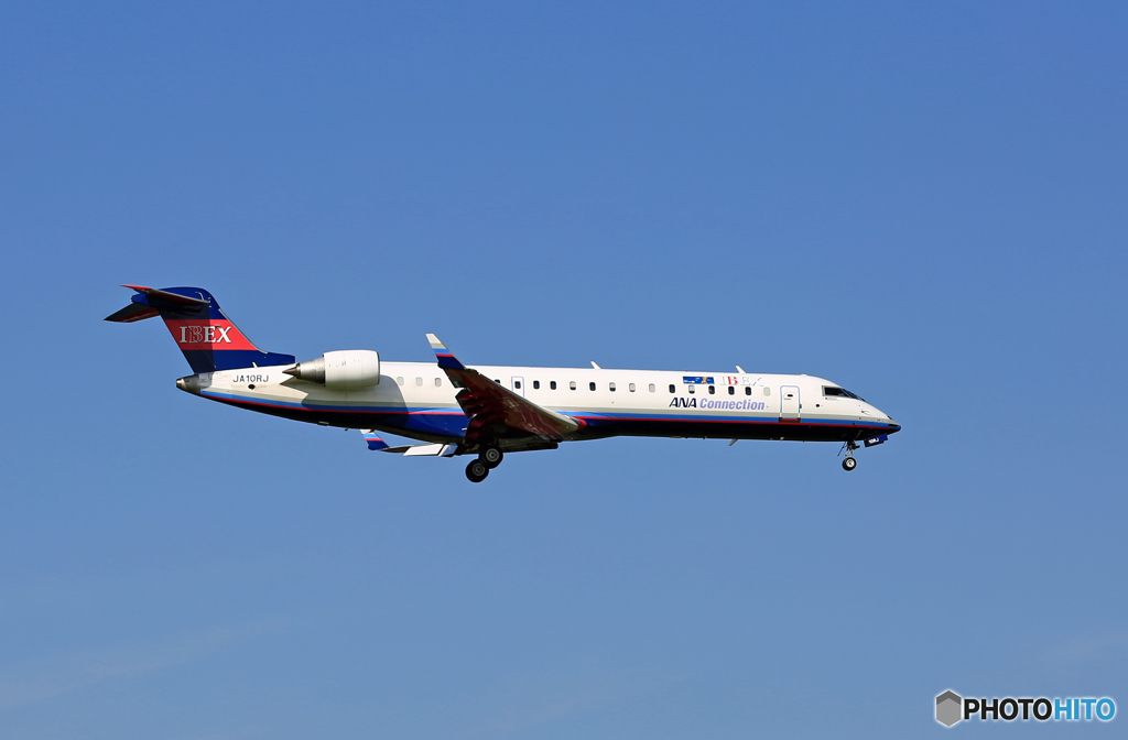 到着 IBEX CL-600 JA10RJ