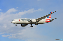 到着  American 787-8 N811AB