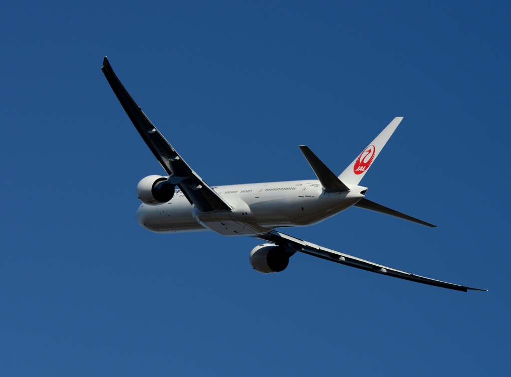 JAL 777-300 飛行
