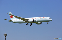 到着 Air CANADA 787-8 C-PHGU