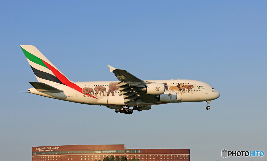 「青い空」が一番　Emirates動物愛護機A380-861着陸