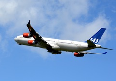 着陸(424)Scandinavian Airlines A340-313 