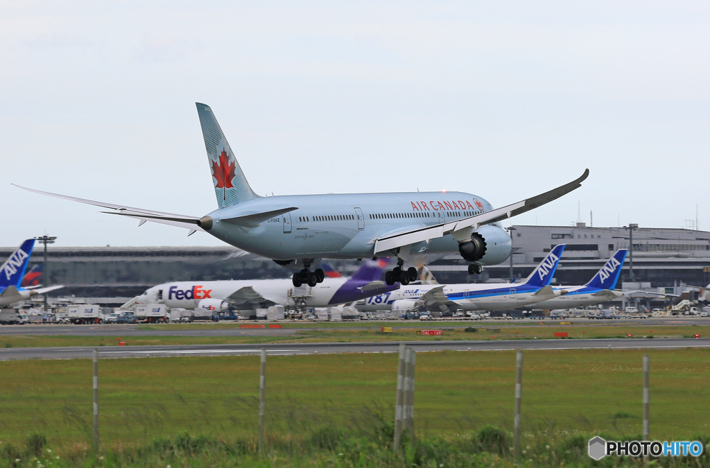 　「SKY」　Air Canada 787-9 C-FGHZ 着陸