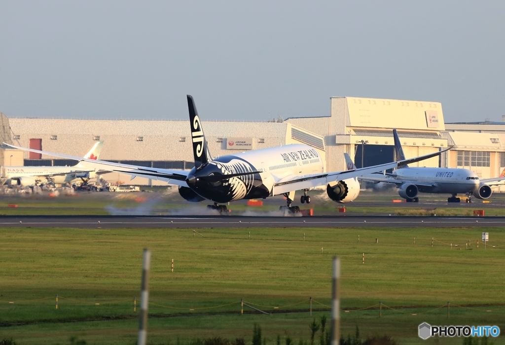 Air New Zealand 787-9 ZK-NZF 到着　