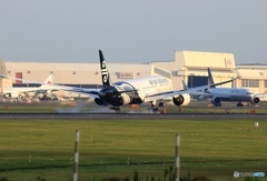 Air New Zealand 787-9 ZK-NZF 到着　