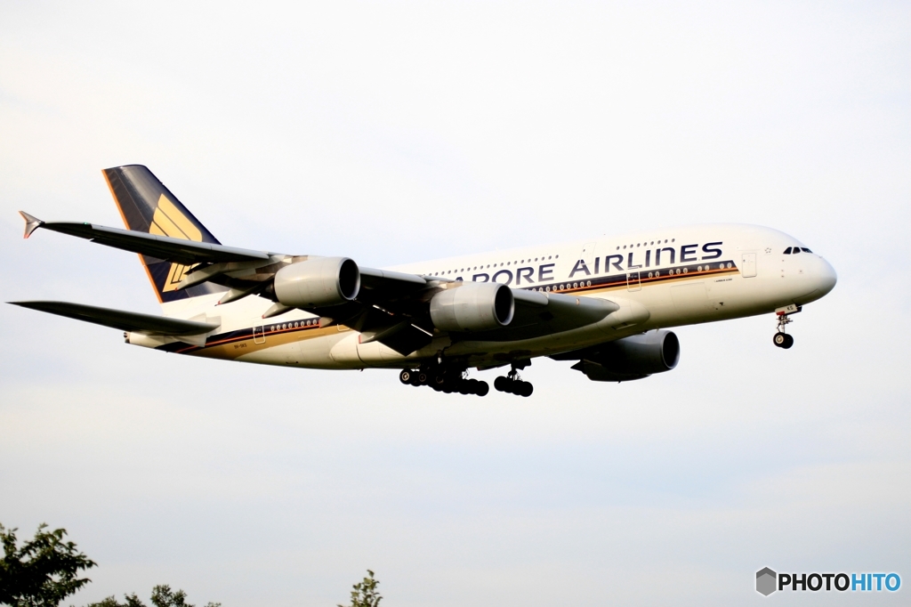 SINGAPORE A380-841 着陸　