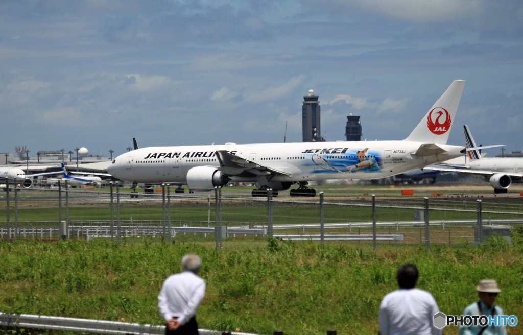 JAL [JET KEI] 777-346 JA733J