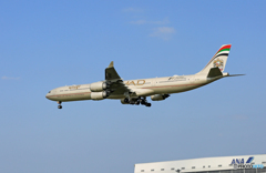 「青空」 ETIHAD A340-642 A6-EHI