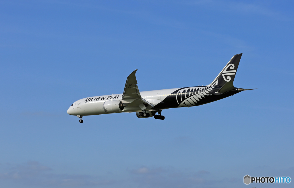 到着 Air New Zealand B787-9 ZK-NZD