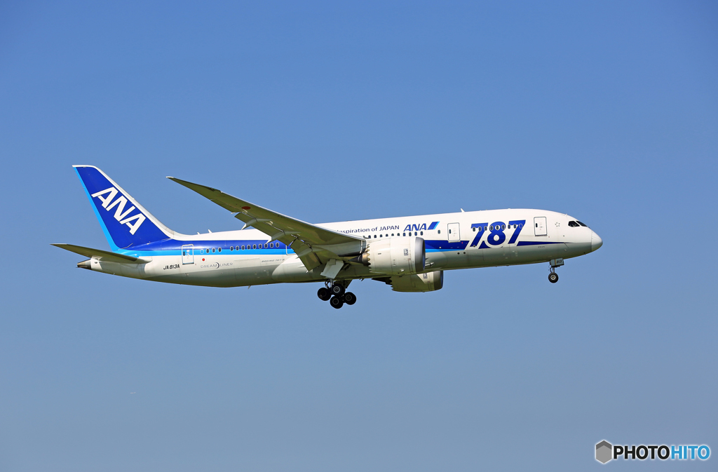 到着 ANA 787-8 JA813A