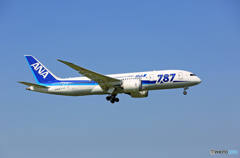 到着 ANA 787-8 JA813A
