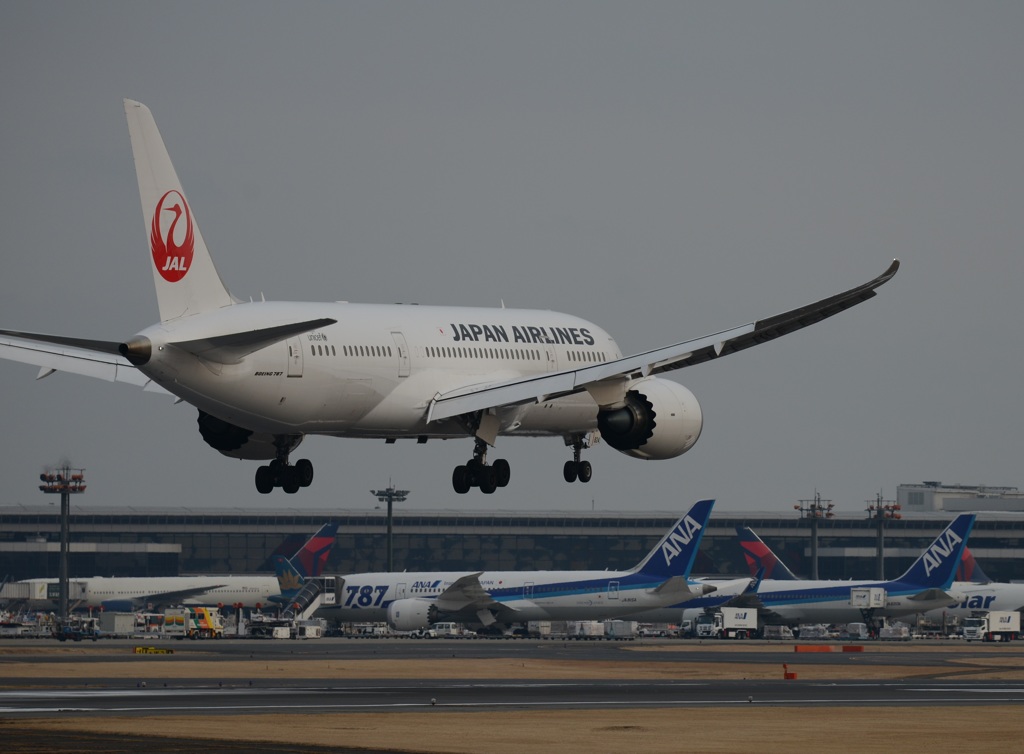 JAL 787-8 着陸