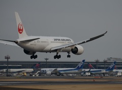 JAL 787-8 着陸