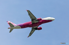 peach A320-200 JA802P 離陸　