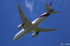 THAI 787-8  離陸　