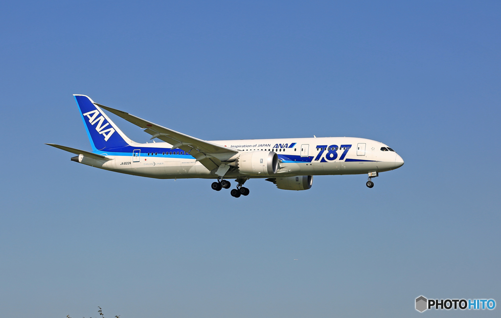 着陸 ANA 787-8 JA822A