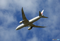 「そらー」 JAL 787-8 JA822J 出発 「そらー」 JAL 787-8 JA822J 出発