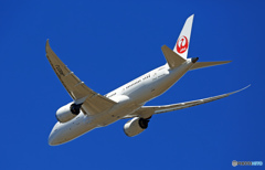 出発 JAL 787-8 JA837J