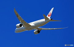 出発 JAL 787-8 JA842J