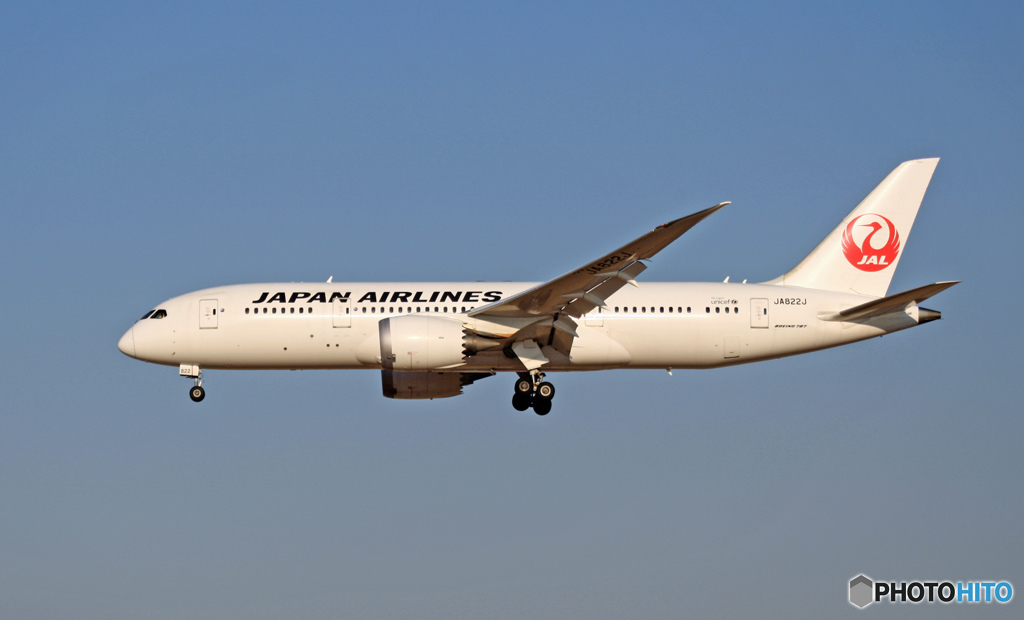 JAL 787-8 JA822J 到着 