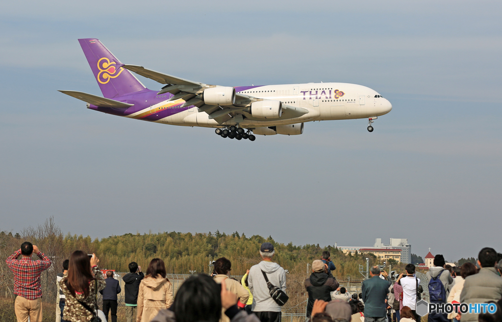 「青い空」が一番 Thai A380-841 HS-TUA