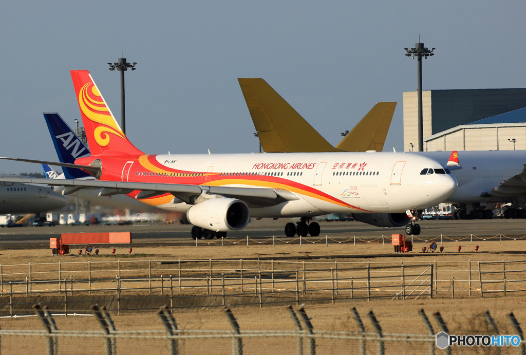 「ぶるー」 香港航空A330-343 B-LNS