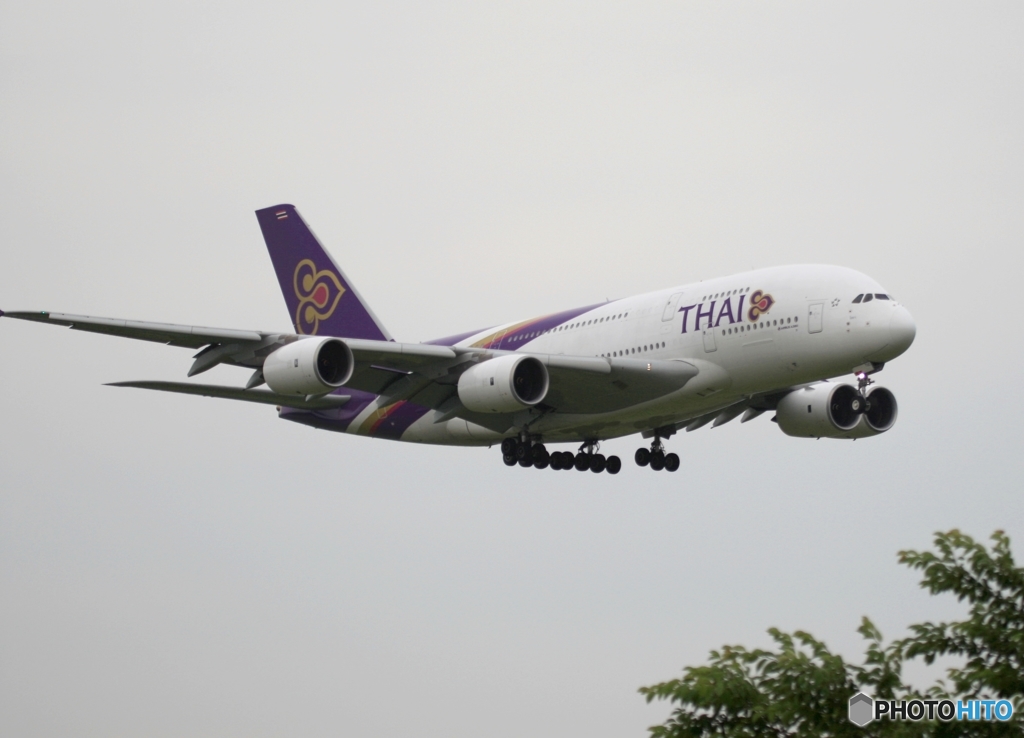 THAI A380-841 着陸　